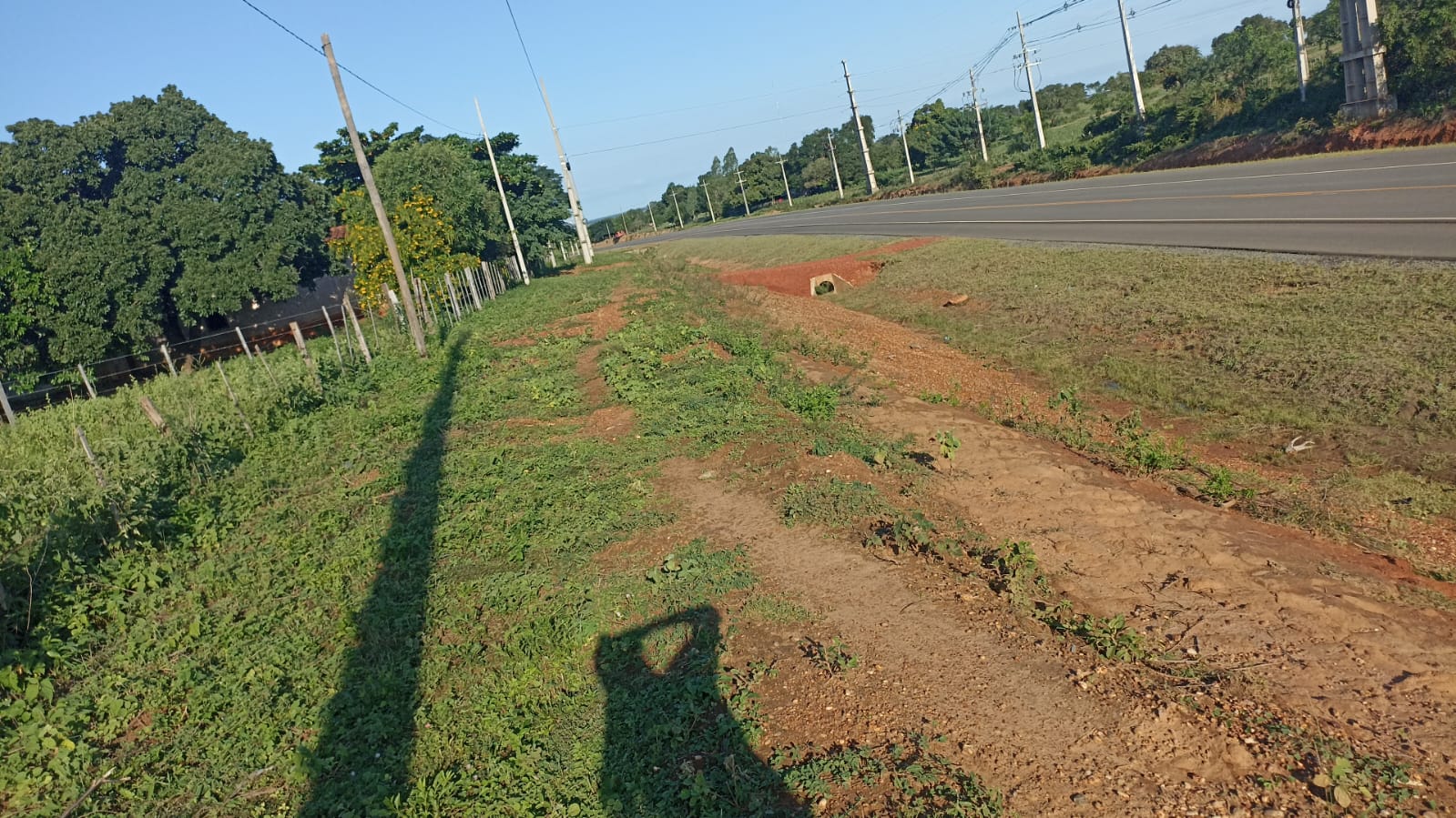 Terreno sobre ruta concepción 100 metros de ANDE — foto 2