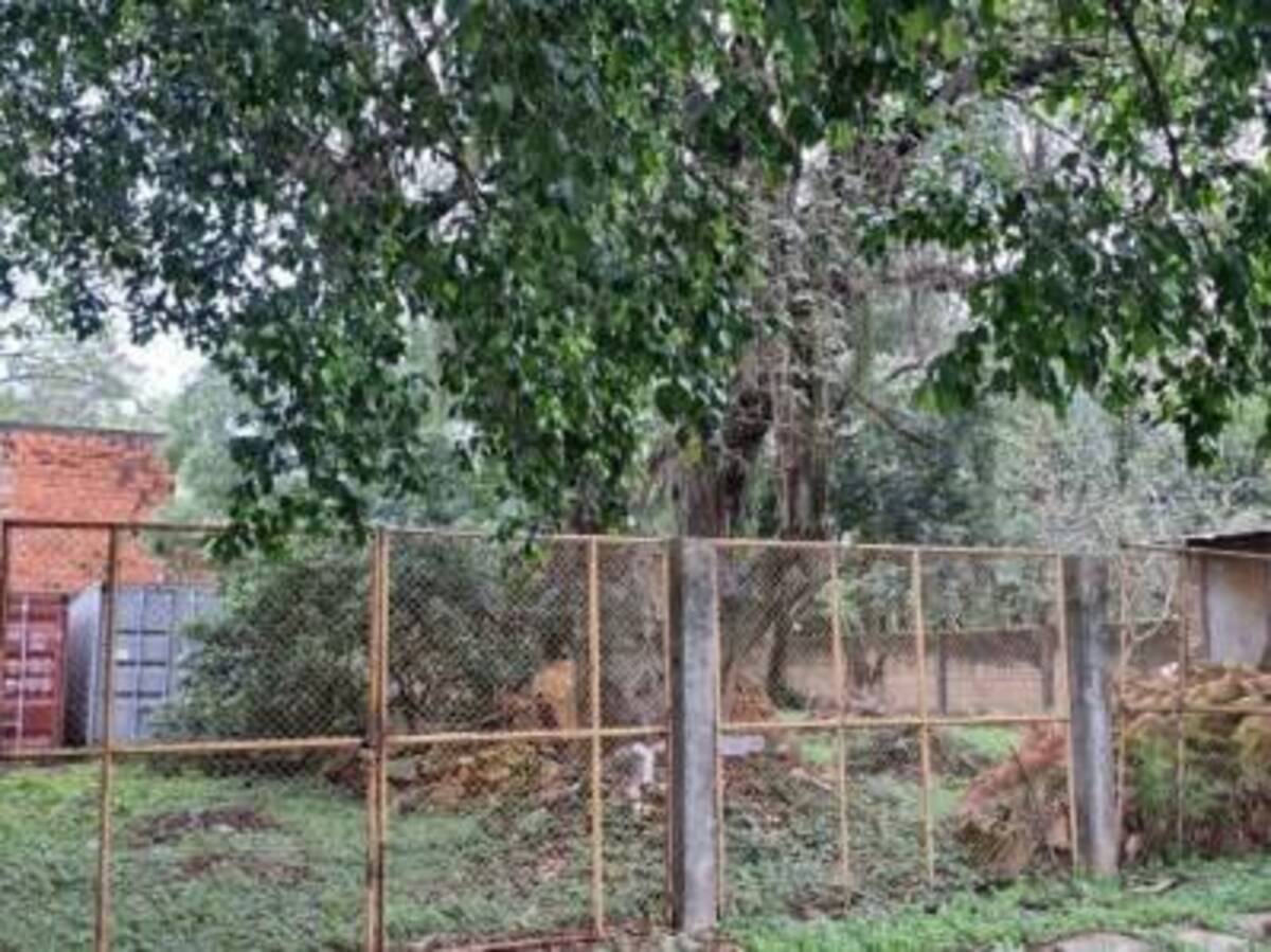 EN VENTA | Terreno En San Jorge – Ideal Para Residencia O Dúplex — foto 2