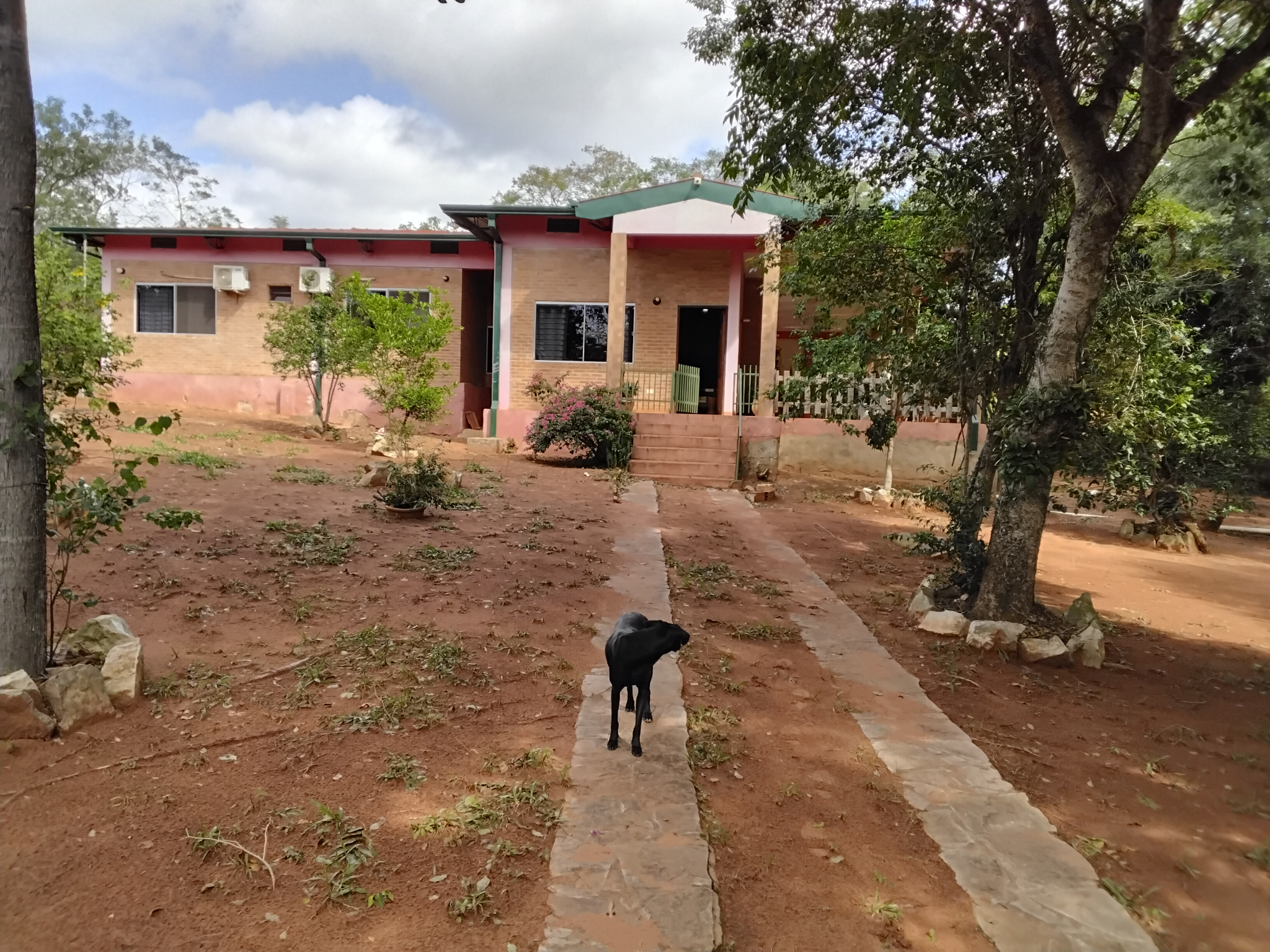VENDO CASA QUINTA EN NUEVA COLOMBIA — foto 2