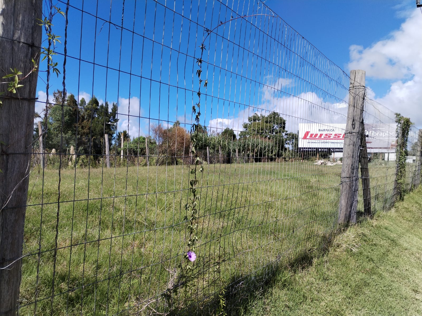 Alquiler de Terreno en Interbalnearia de 5.000 m2 · Foto 4