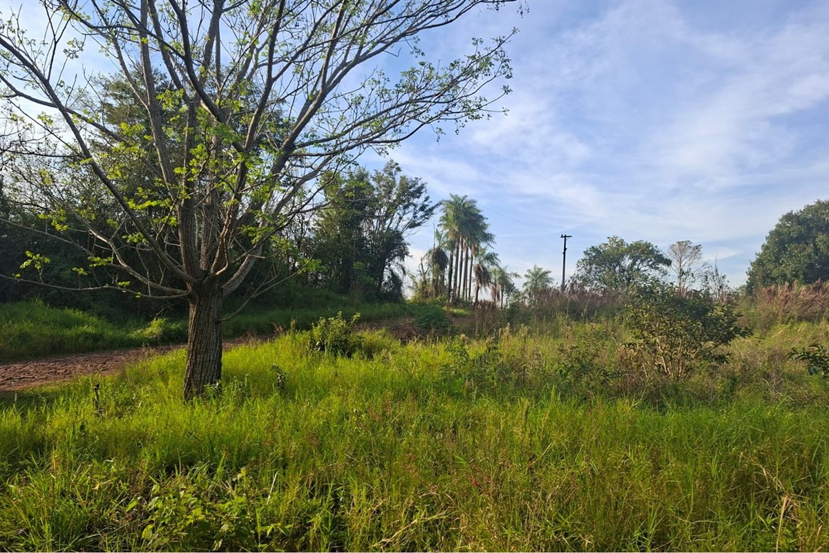 Casa de campo-Venta-Trinidad, Itapúa — foto 2