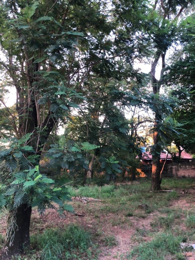 Terreno 833 m² zona estratégica | Sta. María — foto 3
