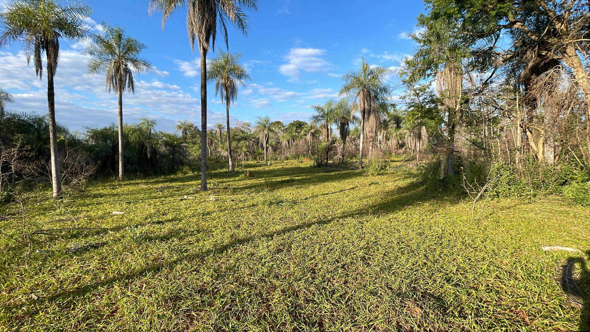 Vendo propiedad de 8,5 hectáreas en Eusebio Ayala Barrio Colonia Curupayty — foto 3
