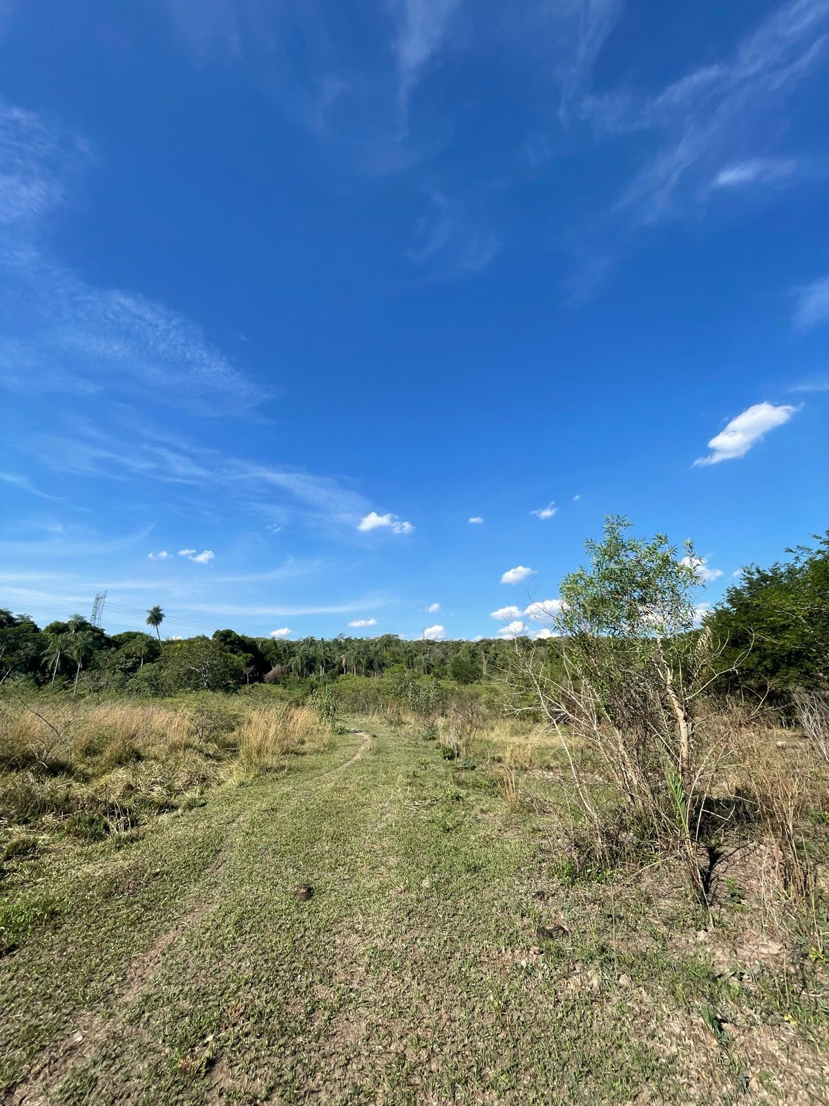 VENDO HERMOSA PROPIEDAD EN EMBOSCADA 20 hectáreas a 3 km de la ruta 3 — foto 2