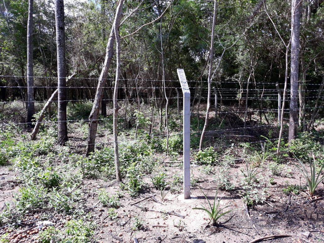 Terreno en venta en Rincón de San Bernandino — foto 3