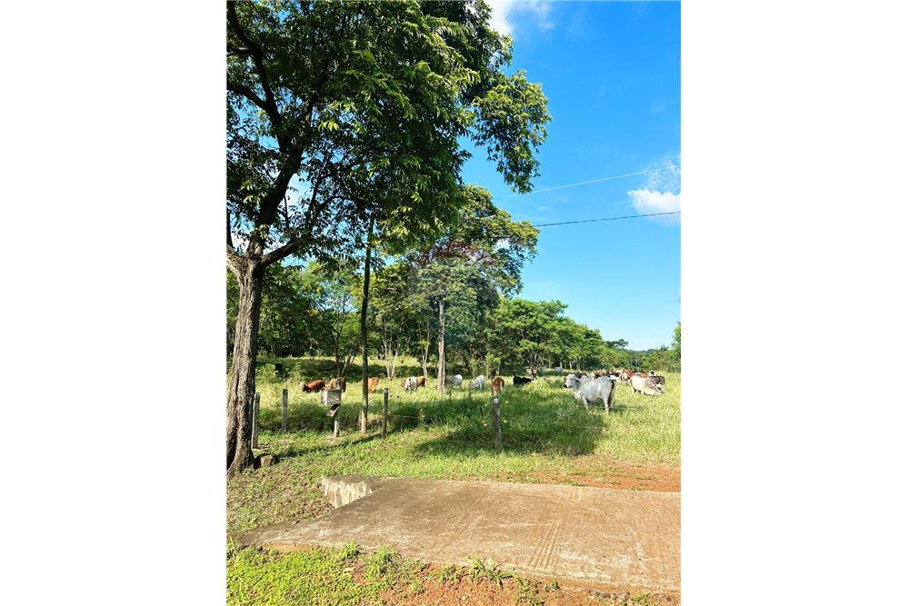 100 Hectáreas en Paraguari — foto 3