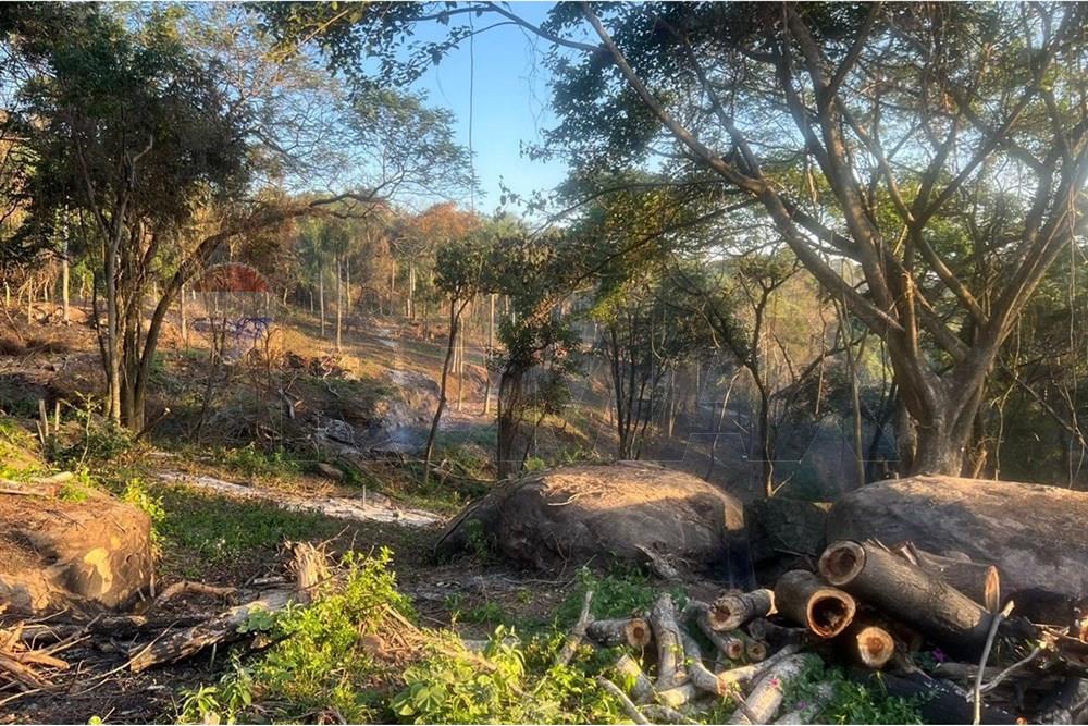 Terreno de 3,5 Hectáreas en Altos, Zona Tava Glamping/San Bernardino — foto 3