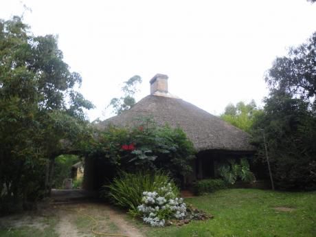 La Floresta 0e0ca656lf