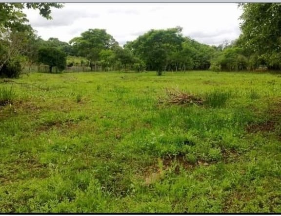 Excelente Oportunidad - Hermoso Terreno En Encarnación — foto 3