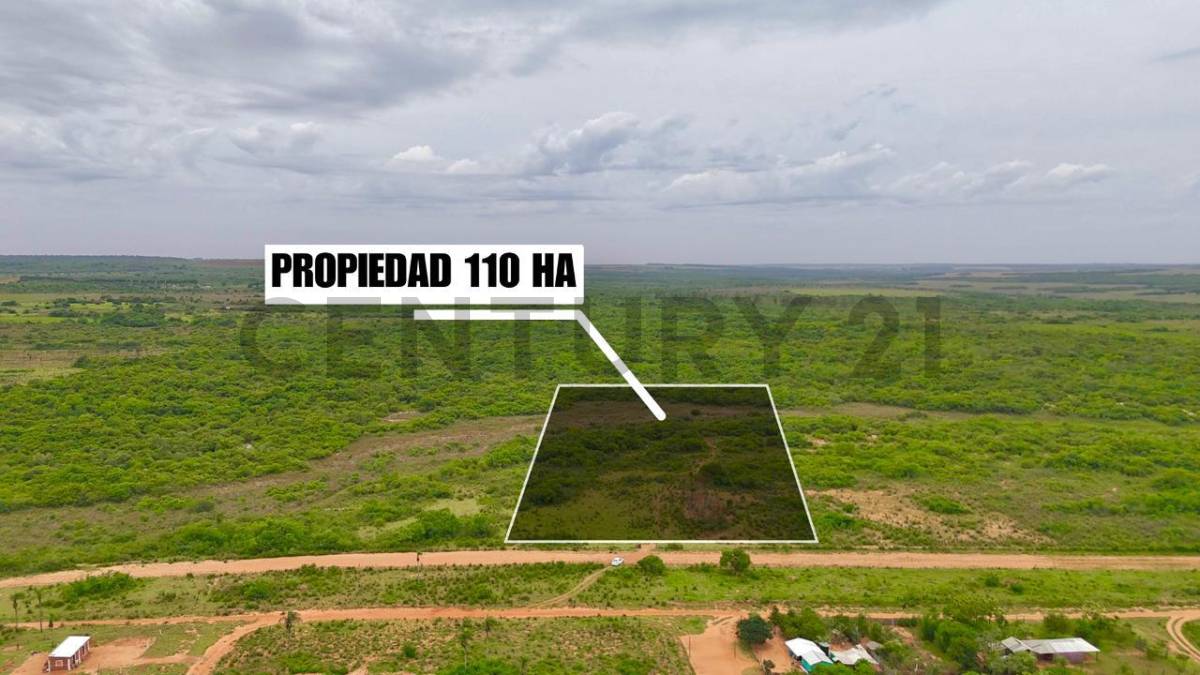 Venta de terreno en Caaguazú  - 110 HA — foto 2