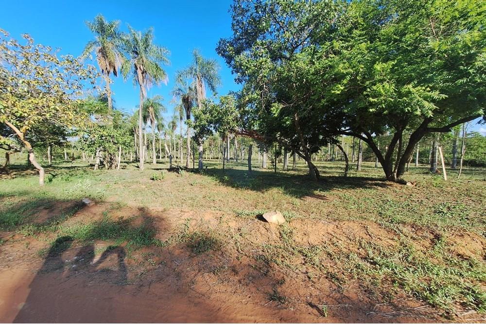 VENDO TERRENO EN ALTOS — foto 3