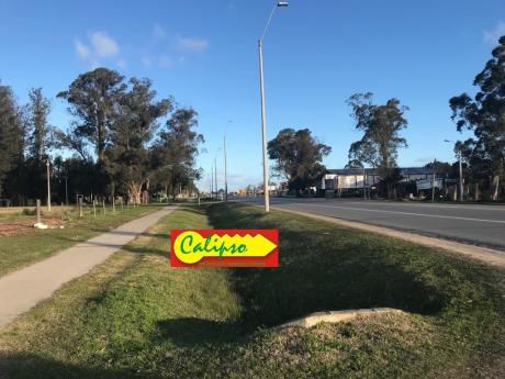 Sobre Ruta 11- Terreno De 680 M2 - Inmobiliaria Calipso