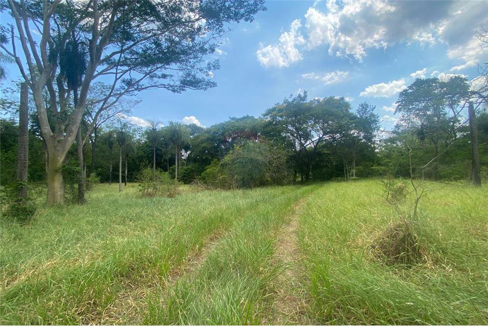 terreno en venta sanber de 10 mil metros cuadrdos  cierva de cua — foto 2