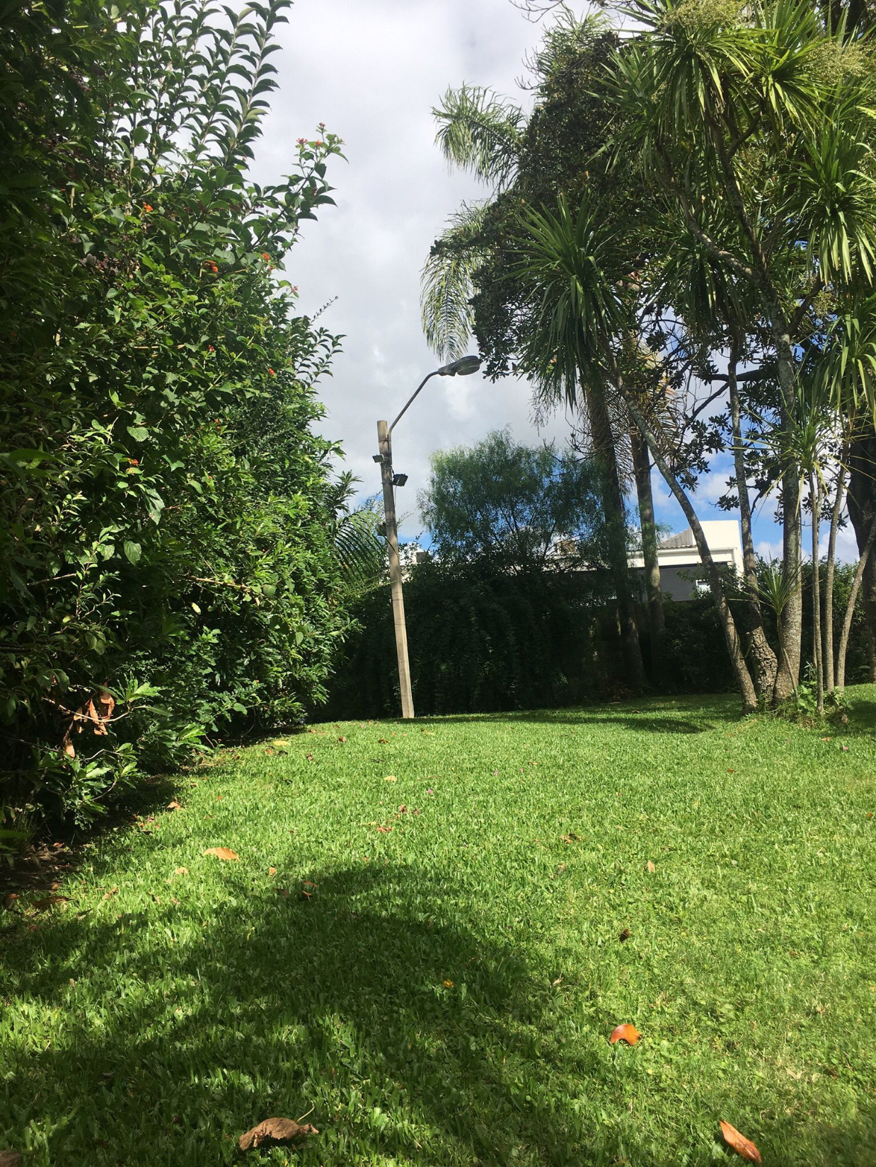Photo 5 of 26