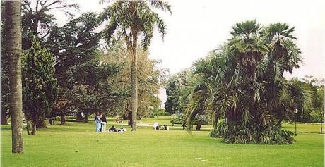 Cómodo Apartamento En El Prado