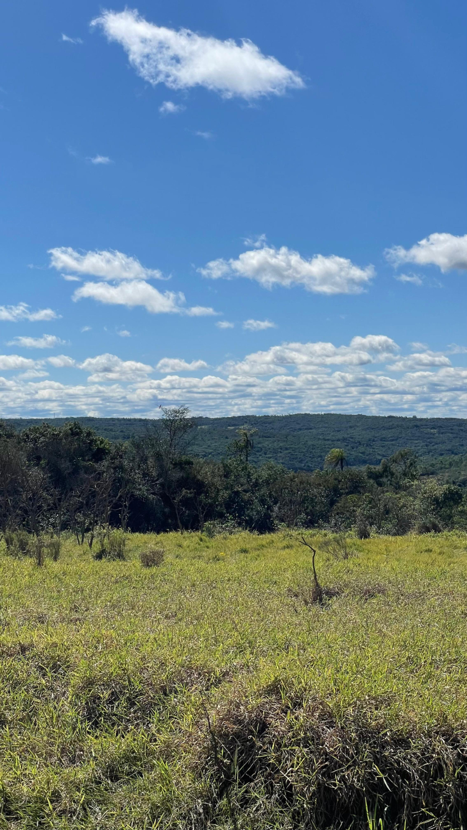 Vendo hermosa propiedad de 10 hectáreas en Piribebuy — foto 2