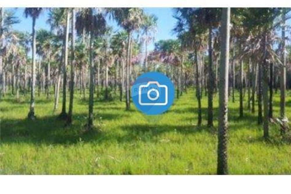Estancia Ganadera de 1.796 HA en Toro Pampa Lista para Producir Alto Paraguay — foto 2