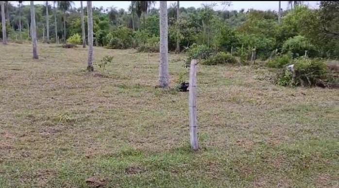 Vendo Terreno En Altos — foto 3