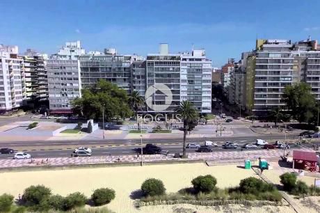 Venta Apartamento Monoambiente Con Gran - Pocitos