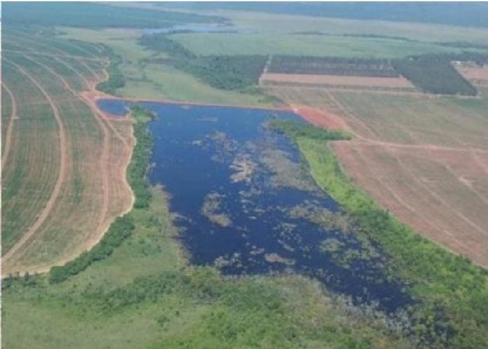 Vendo Campo de 9.258 Hectáreas en Capitán Bado, Amambay-CLCS5526278 — foto 3