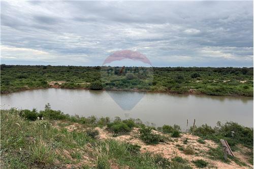 Estancia/Campo-Venta-PY Boquerón Neuland — foto 3