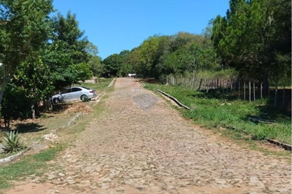 Terreno Ideal en Nueva Colombia: ¡Invierte Hoy! — foto 2