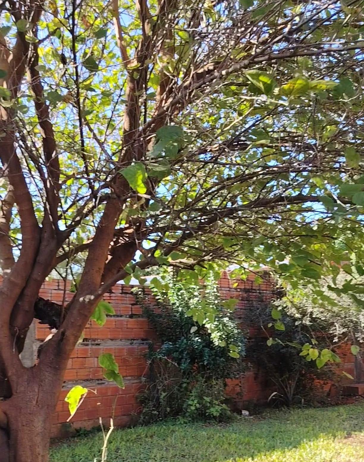 Casa En Venta En ñemby – Barrio Caaguazú — foto 2