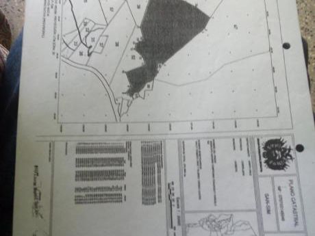 280 Hectareas En Abapo