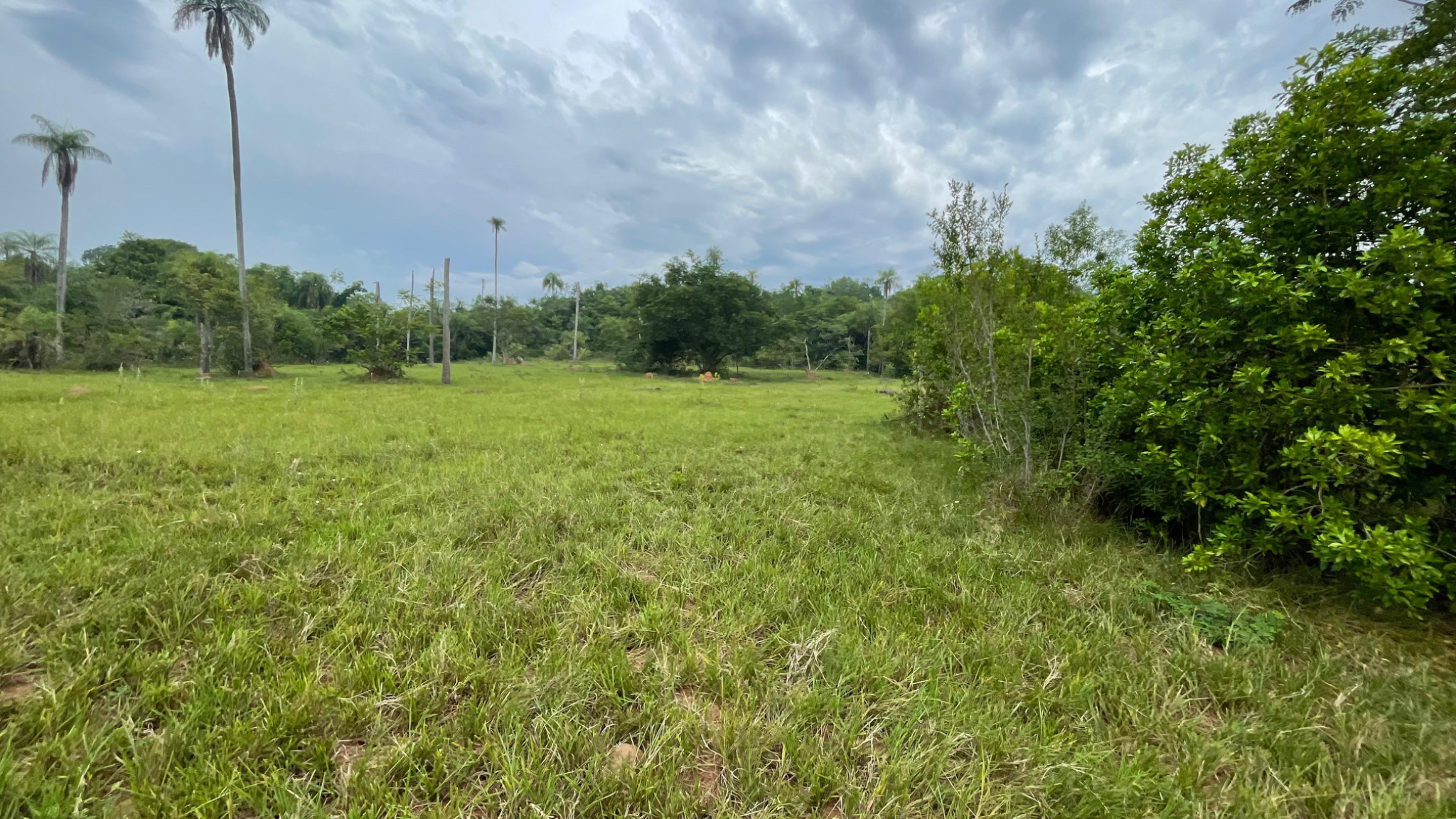Vendo Hermosa Propiedad De 39 hectáreas en Barrero — foto 2