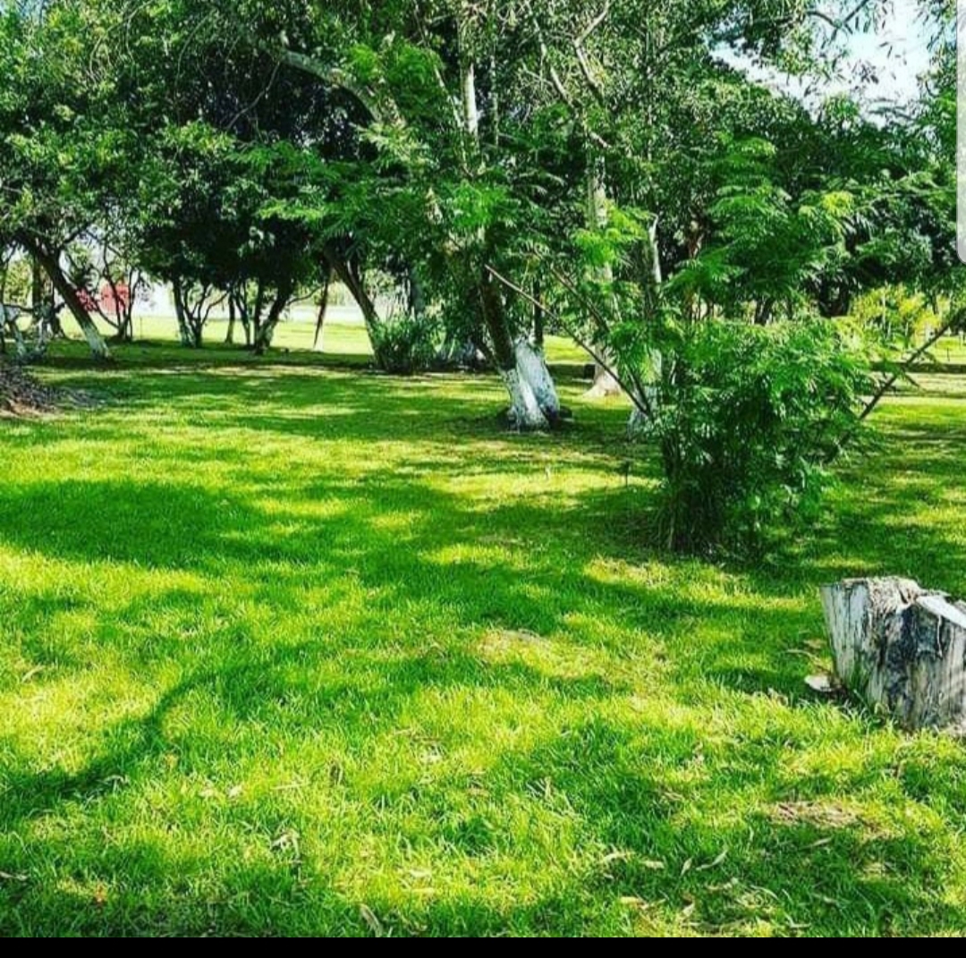 EN VENTA CASA QUINTA EN NUEVA COLOMBIA — foto 3