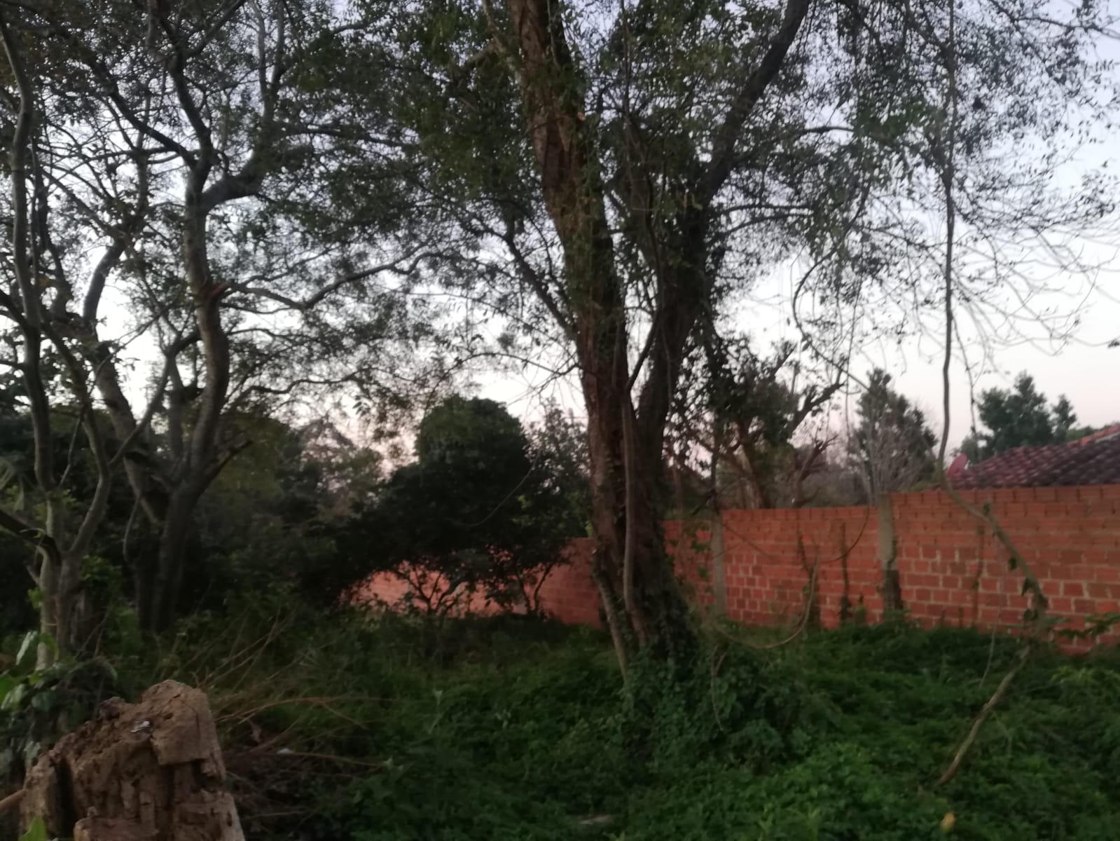 SE VENDE AMPLIO TERRENO EN PIRIBEBUY — foto 2