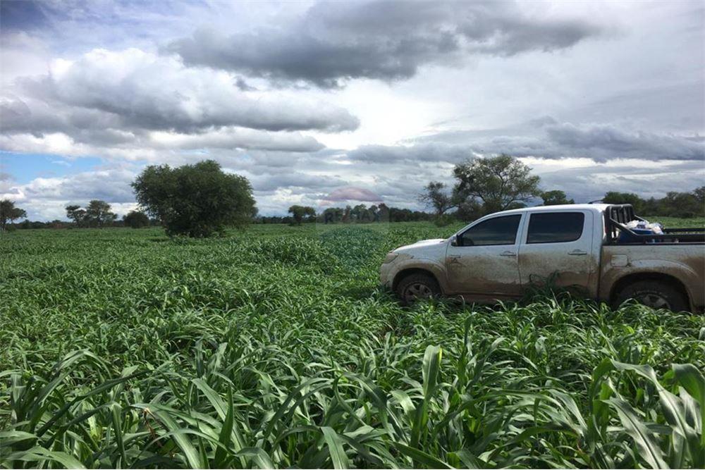 VENDO CAMPO DE 980 HAS EN SAN PEDRO - VILLA DEL ROSARIO — foto 3