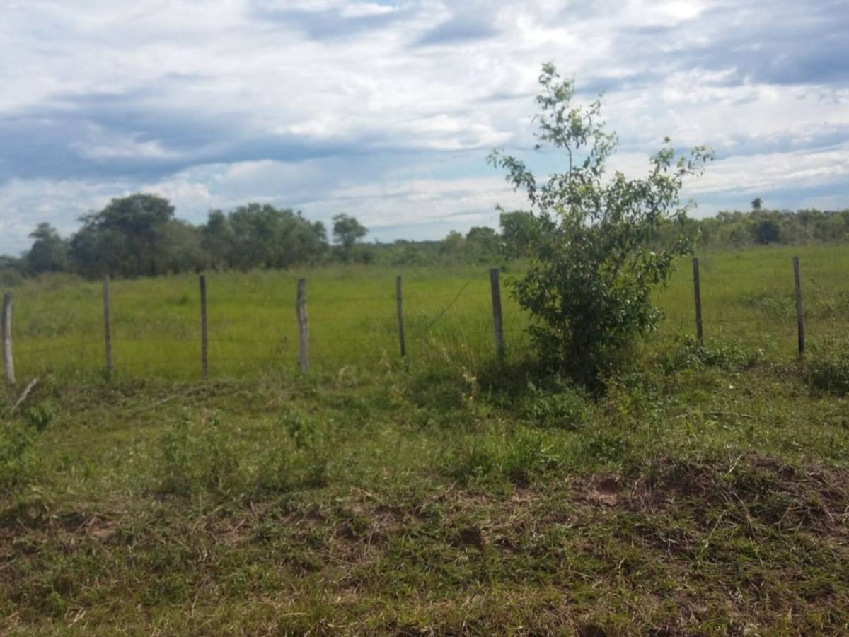 VENDO CAMPO LORETO CONCEPCION — foto 2