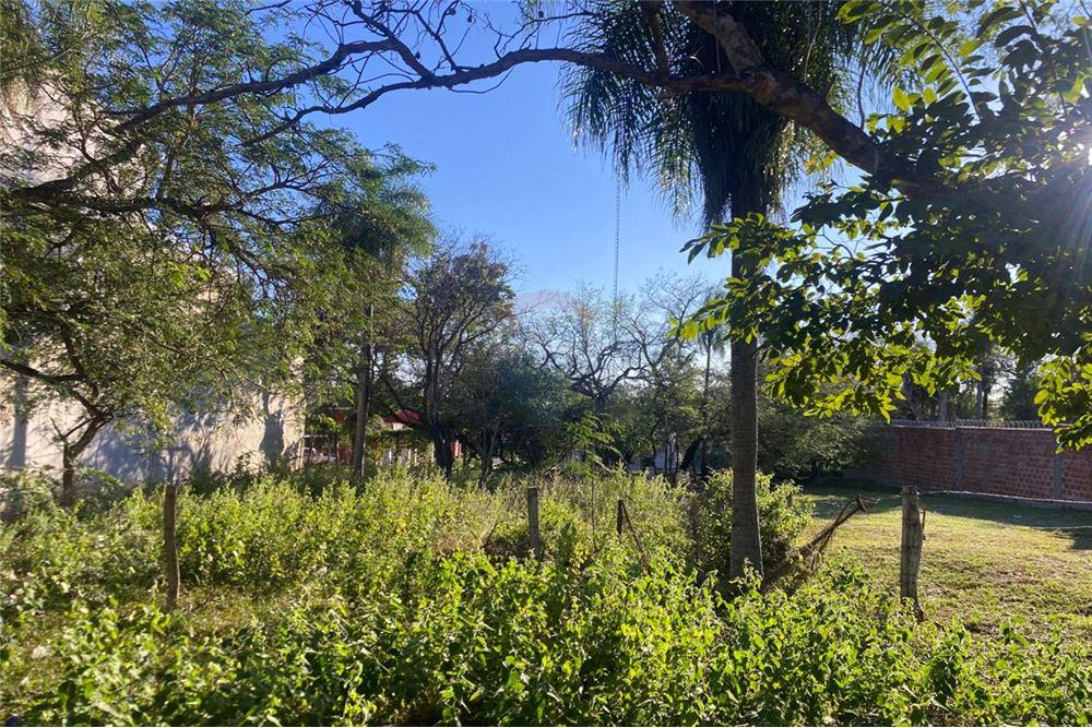 AMPLIO TERRENO EN SAN BERNARDINO ZONA CIERVO CUA — foto 2