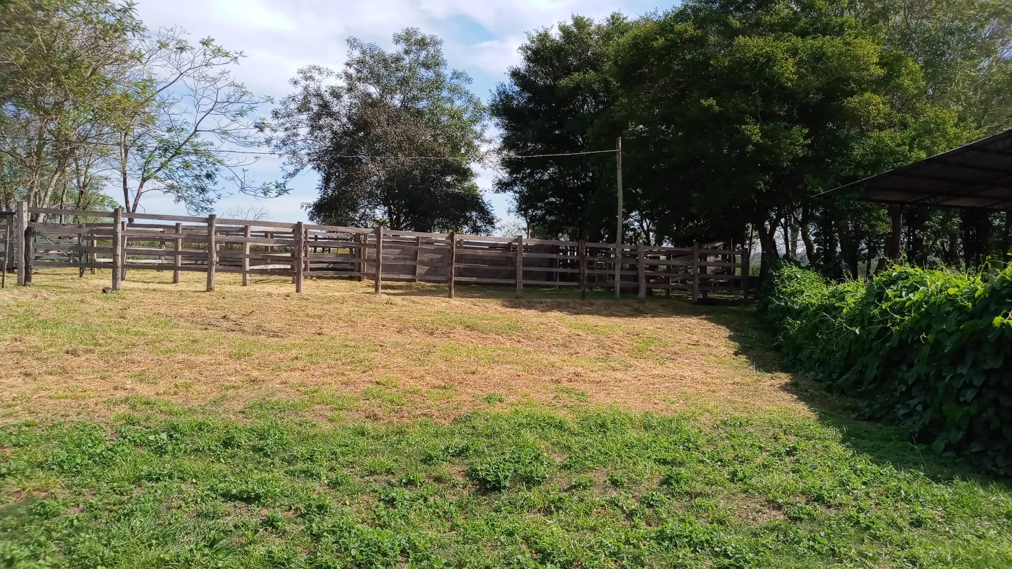 CAAGUAZÚ -  Distrito Ri3 Corrales - Granja de 38 Ha en Calle 10 con Rio de limite. — foto 2