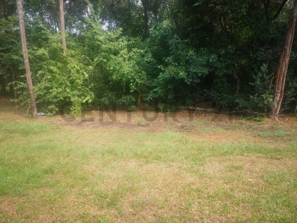 Venta de Terreno en San Bernardino, Cordillera — foto 3