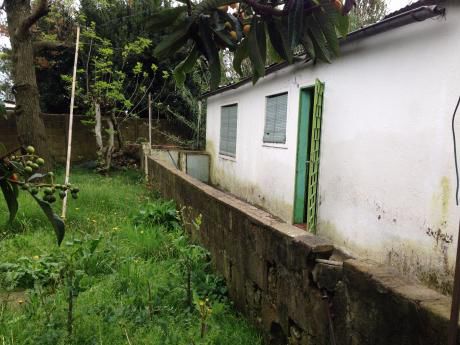 Apto 1 Dormitorio Con Terreno Si Banco