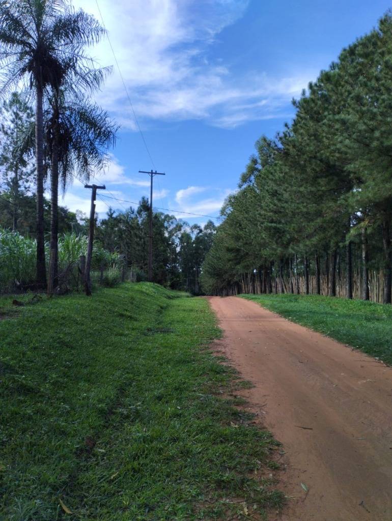 VENTA DE GRANJA de 6ha. — foto 3