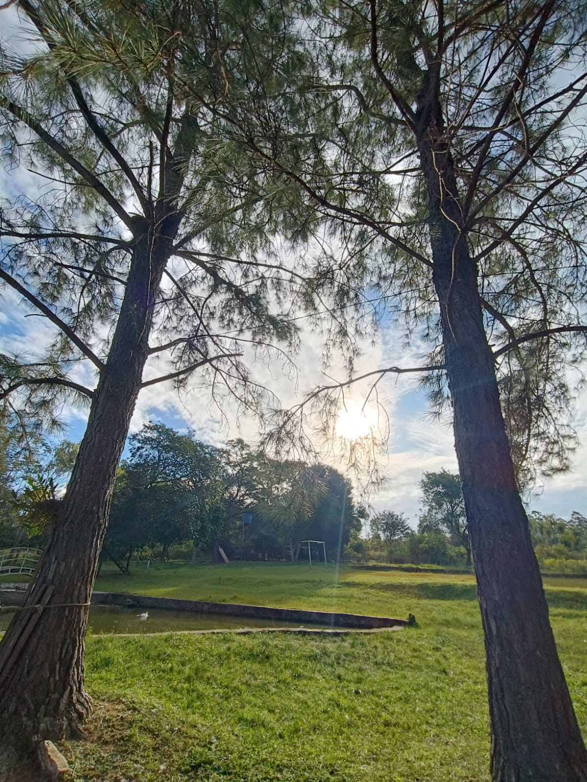 Se vende terreno de 5 hectáreas en Piribebuy — foto 3