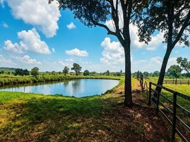 ESTANCIA EN VENTA — foto 3