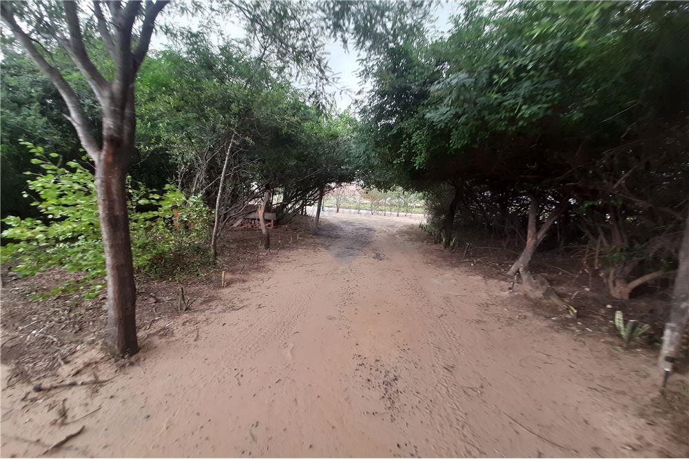 Campo con vivienda en Venta — foto 3