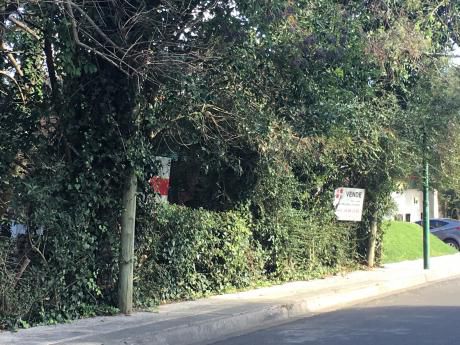 Terreno A Metros De Roosevelt