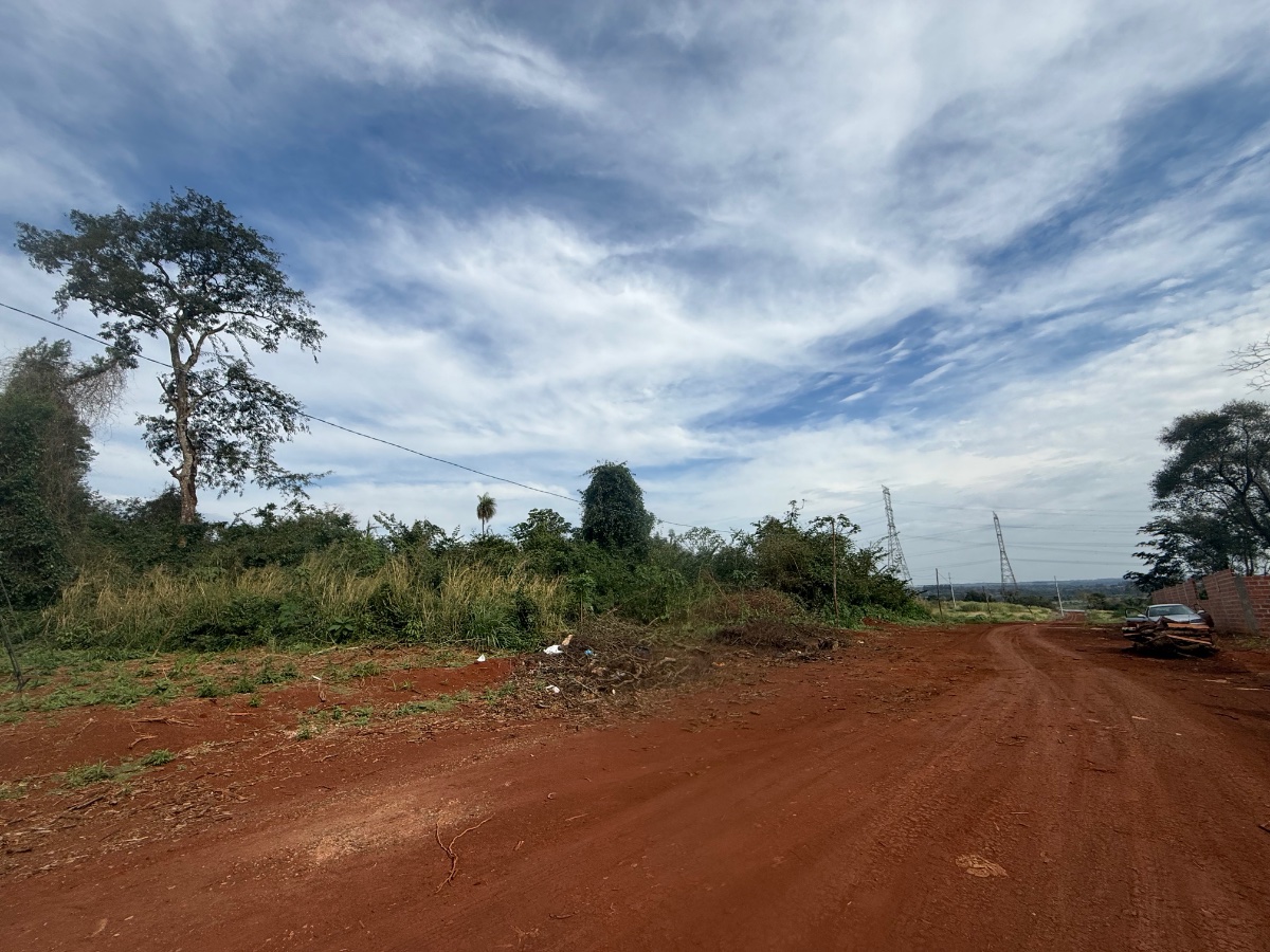 Terreno de 10.000 m² en Esquina sobre Ruta – Hernandarias — foto 3