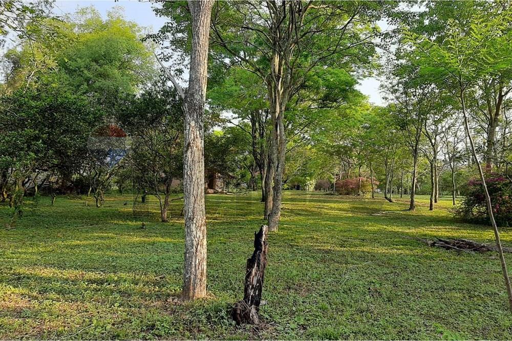 TERRENO 8 HECTAREAS VENTA ZONA DE CAACUPE — foto 2
