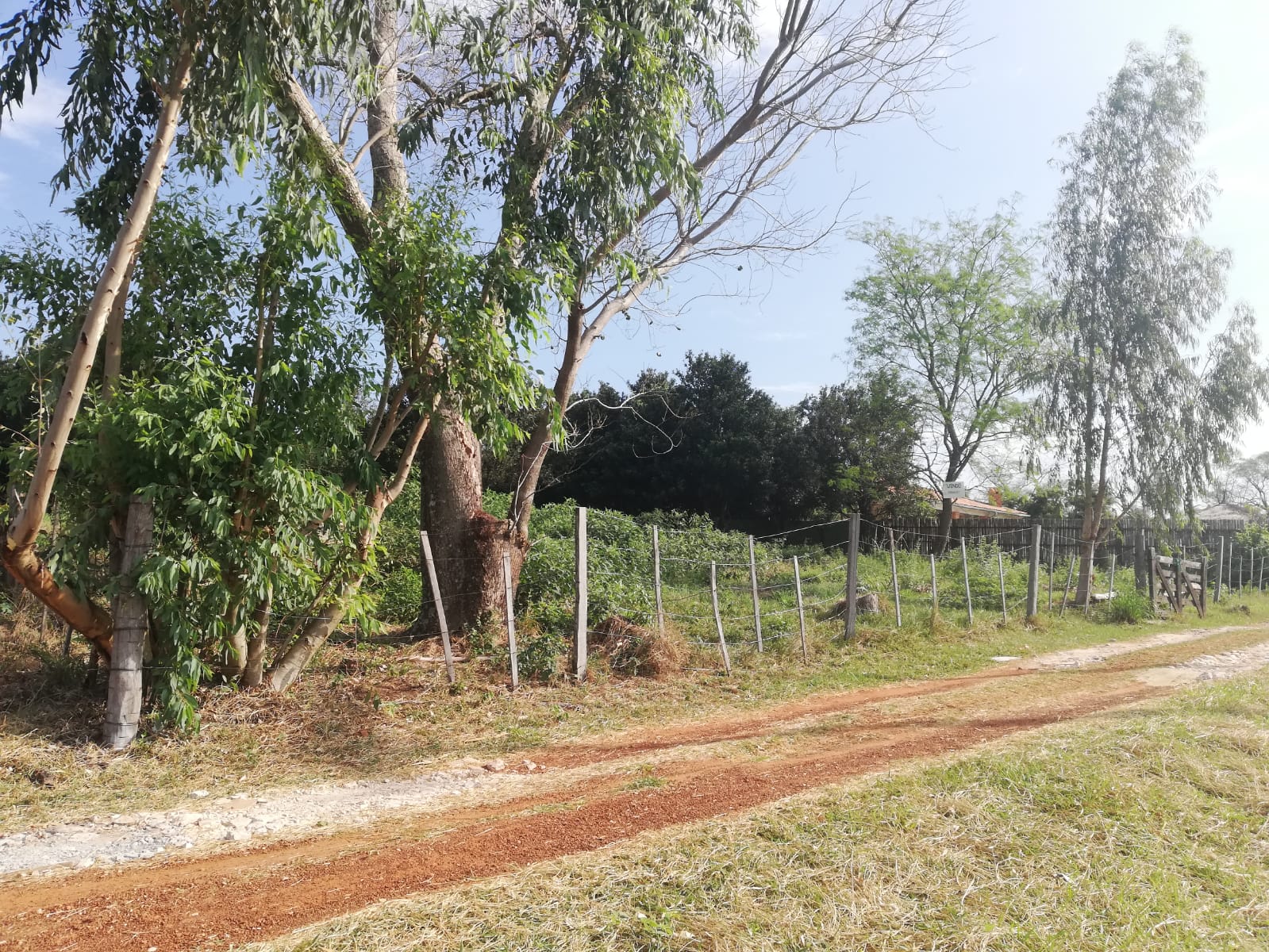 VENDO TERRENO A 600 METROS DE LA RUTA SAN BER NUEVA COLOMBIA — foto 2
