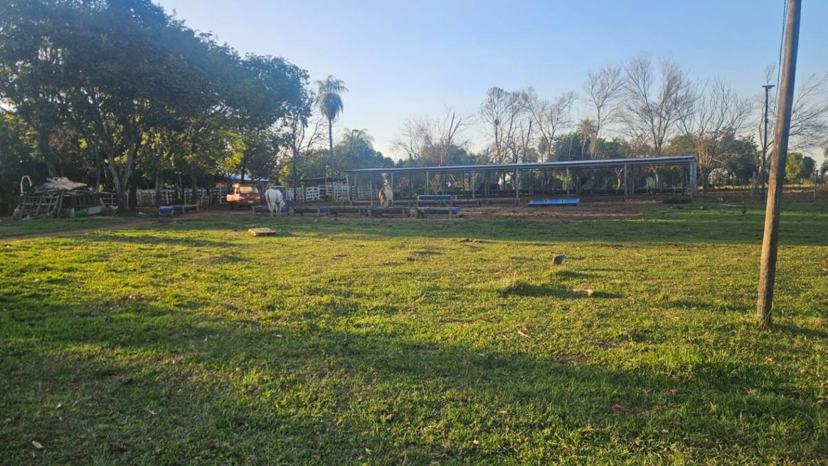 VENDO ESTANCIA EN YBYCUÍ DE 30 HECTÁREAS — foto 2