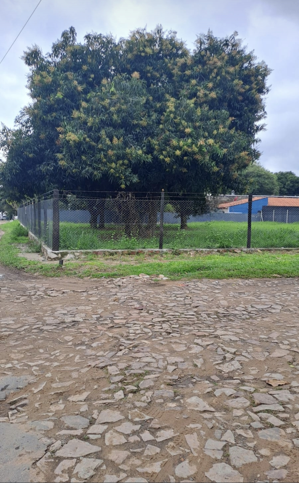 Amplia propiedad con excelente ubicación en Asunción — foto 2