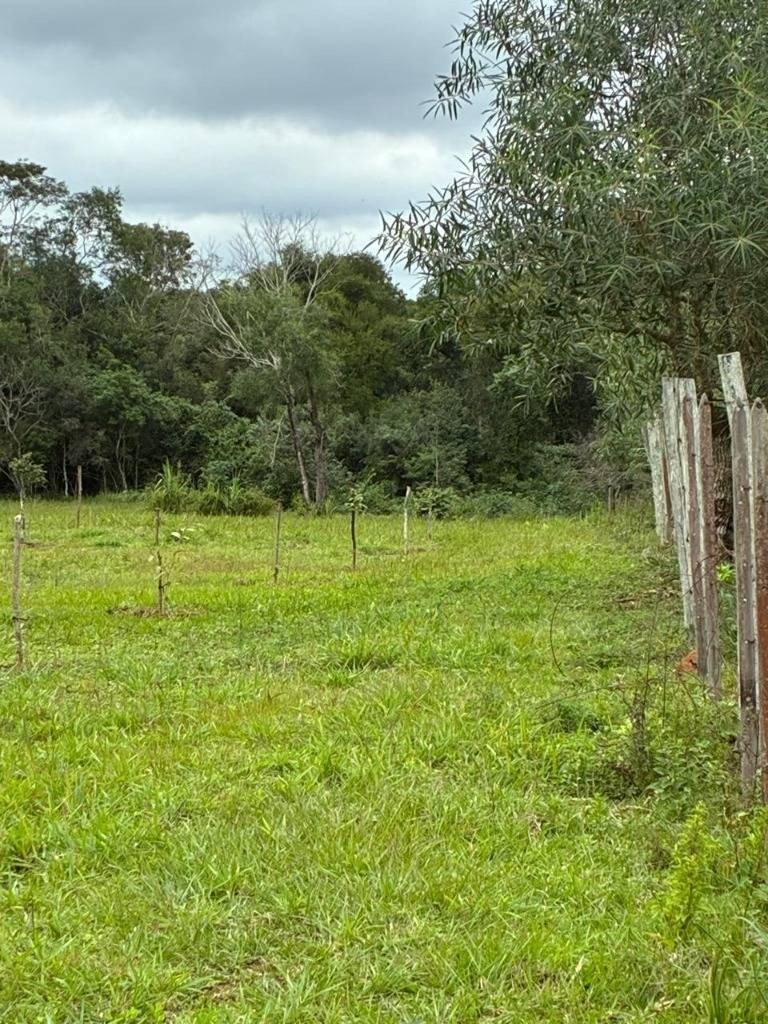 VENDO TERRENO DE 10 HECTAREAS EN SANTA ELENA - CORDILLERA — foto 3