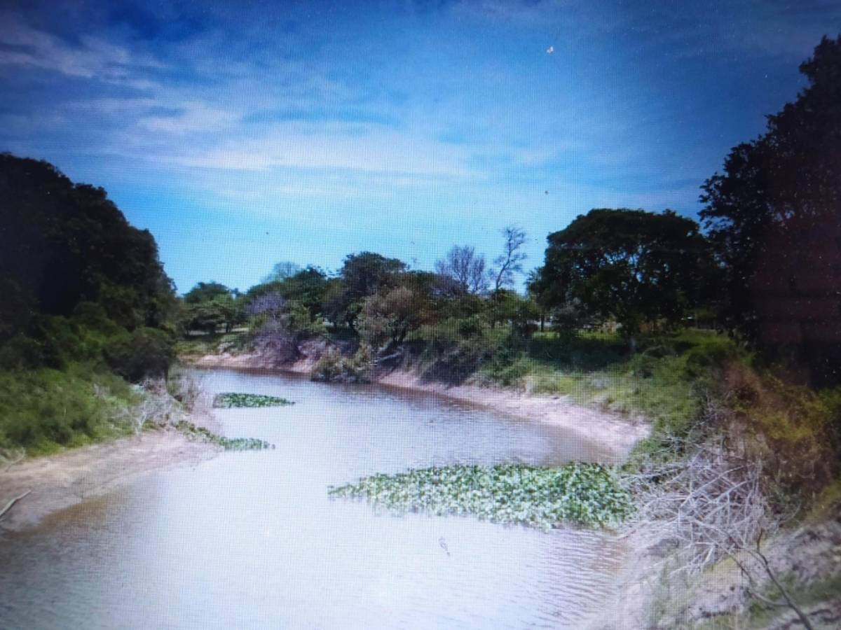 VENDO TERRENO EN VILLA OLIVA DE 3.386 M2 — foto 3