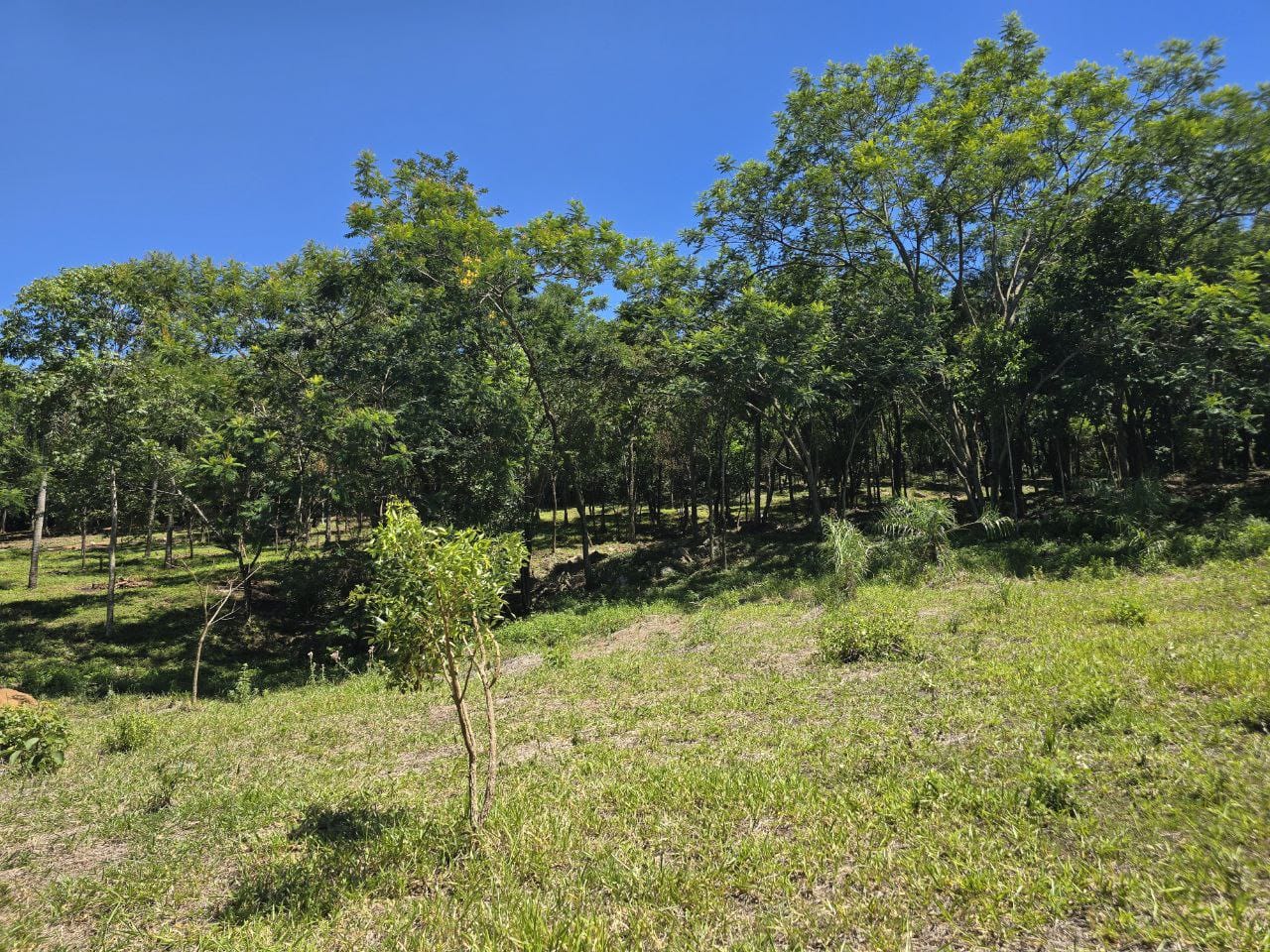 Venta de Lotes en San Bernardino — foto 3
